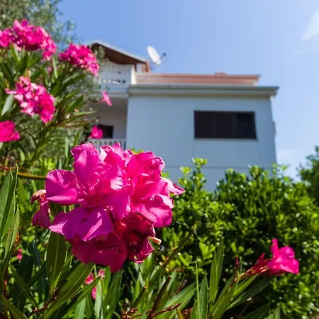 Apartament Ivanka Petrčane