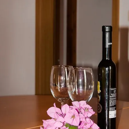 Apartmán Ivanka Petrcane